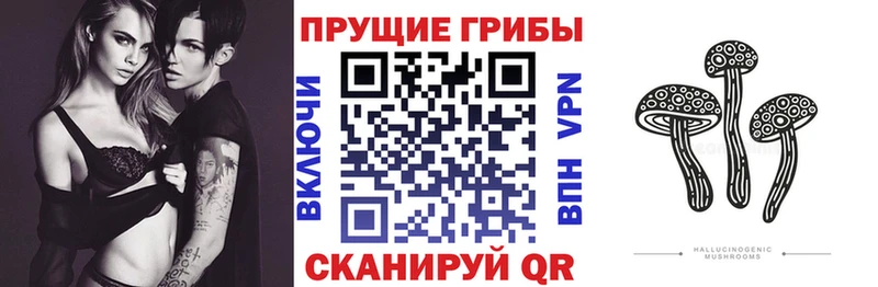 Галлюциногенные грибы ЛСД  даркнет наркотические препараты  Исилькуль  купить  сайты 